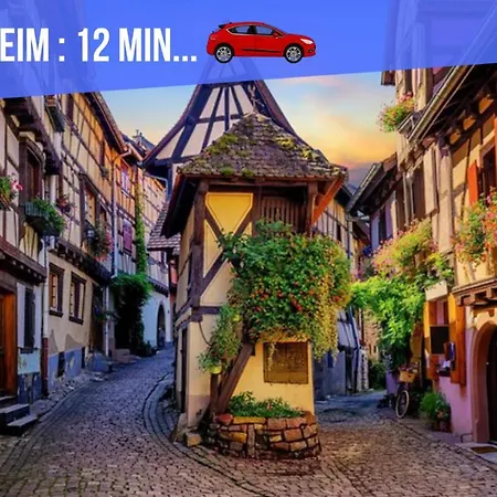 Apartament Le Blue St Leon : 2 Pieces Cozy Lit King Size Wifi Colmar