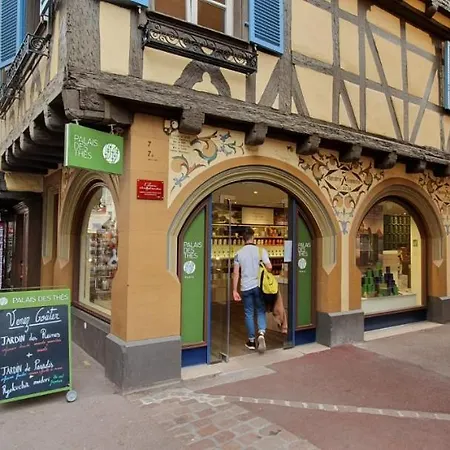 Le Blue St Leon : 2 Pieces Cozy Lit King Size Wifi Apartament Colmar