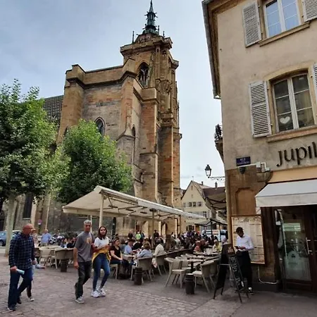 Le Blue St Leon : 2 Pieces Cozy Lit King Size Wifi Apartament Colmar