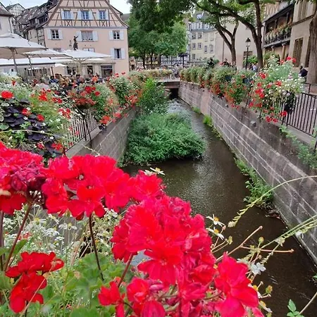 Le Blue St Leon : 2 Pieces Cozy Lit King Size Wifi